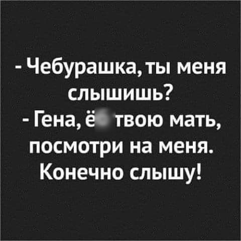 Чебурашка ты меня слышишь Гена ёс твою мать посмотри на меня Конечно слышу
