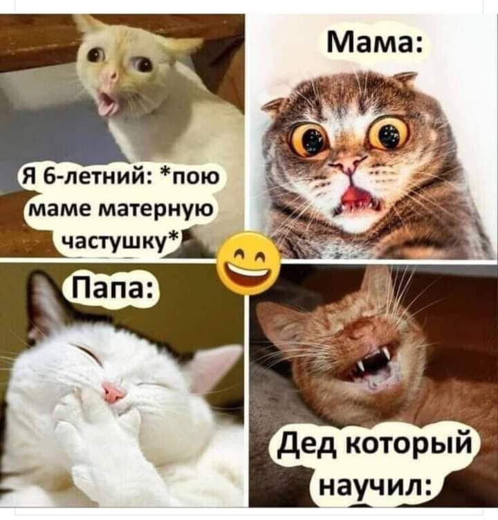 научил