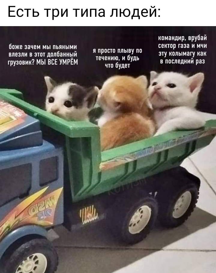 ЕСТЬ три ТИПЭ ЛЮД командир врубай боже зачем ны пьяными сектор газа и мчи Я просто ПЛЫВУ По В Л В И лез и этот дплбаиныи теченищ и будь эту о шагу как что буди грузовик мы ВСЕ УМРЁМ в насладний раз