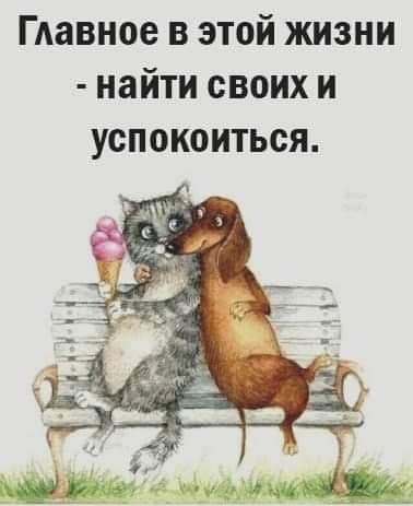 Главное в этой жизни найти своих и успокоиться