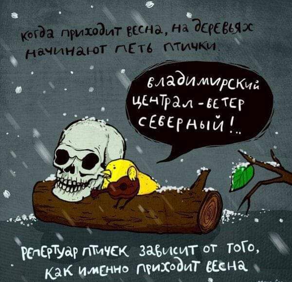 О в ЁіЭЭИИИэскид ЕНТРЗА ЕЕТЕР СЕЁЕРНЫЙ Р0ЁТУдР ПТИЧЕК заъищт от ТОГО У Как имснно гуихоЪиТ сана