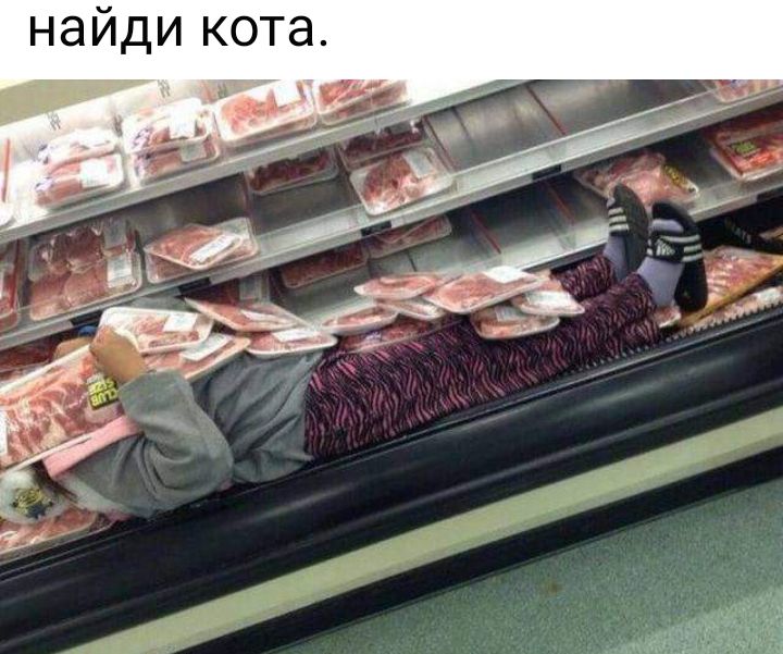 найди кота и уши