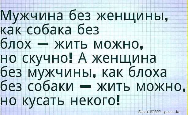 Мужчина без женщины как собака без блох жить можно но скучно А женщина без мужчины как блоха без собаки жить можно но кусать некого