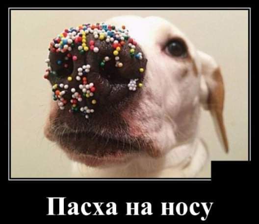 Пасха на носу