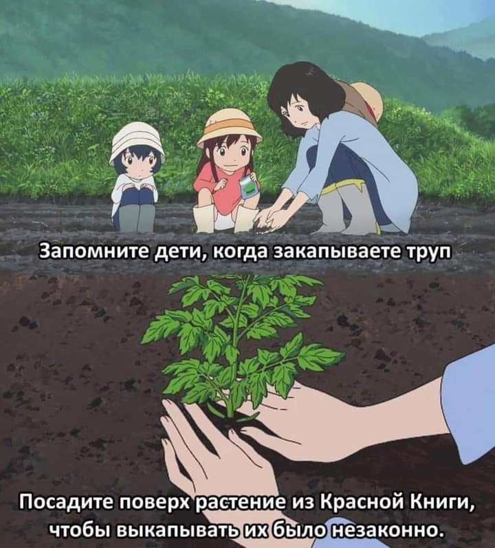 Посадите поверх растение из Красной Книги чтобы выкапывать былоінезаконно