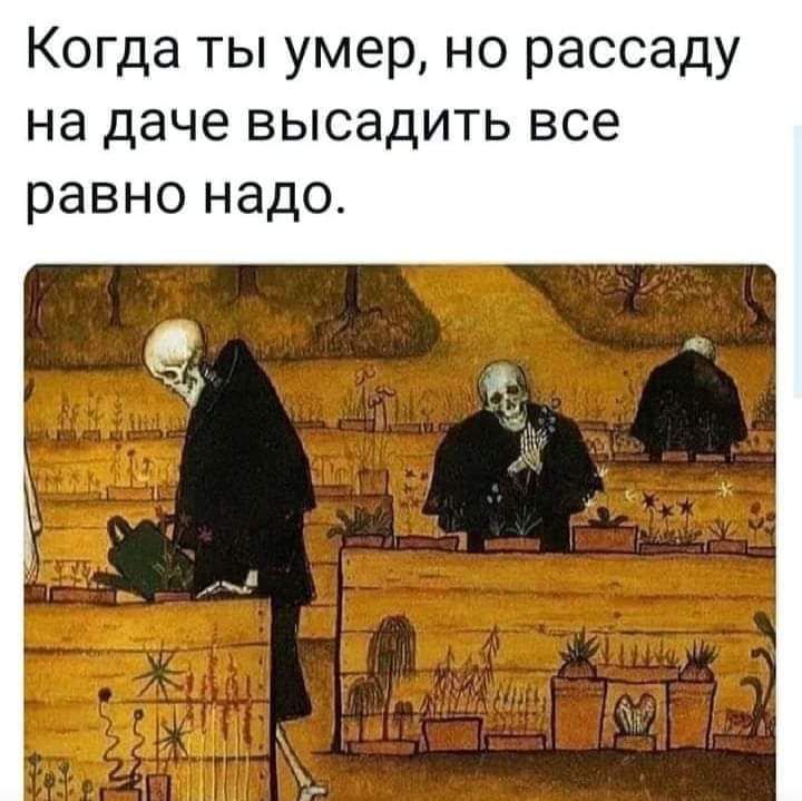 Когда ты умер но рассаду на даче высадить все равно надо