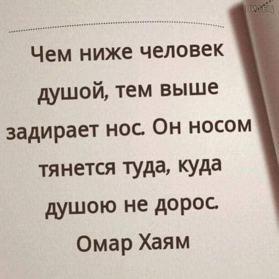 Чем ниже человек душой тем выше задирает нос Он носом тянется туда куда душою не дорос Омар Хаям