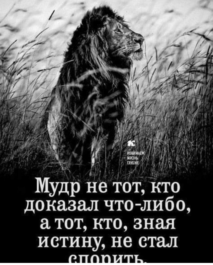 ппыц1 Мудр не тот Кто доказал что либо тот кто зная истину не стал _сдолщь_