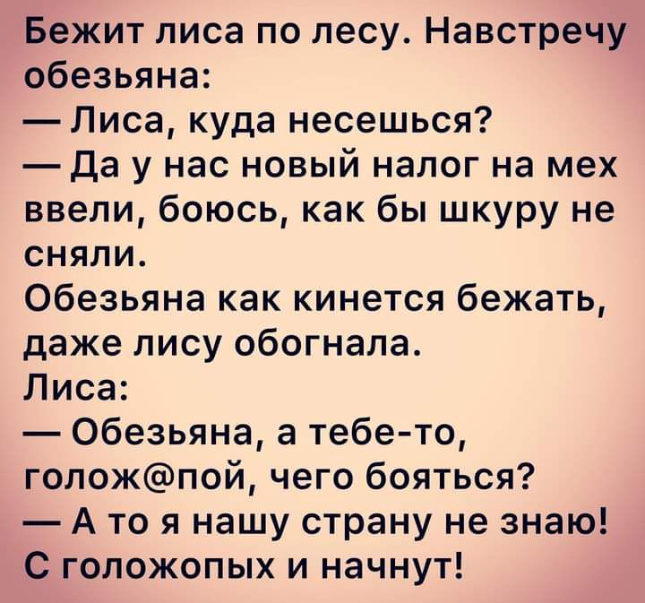 Бежит лиса по лесу Навстречу обезьяна Лиса куда несешься да у нас новый налог на мех ввели боюсь как бы шкуру не сняли Обезьяна как кинется бежать даже ЛИСУ обогнала Лиса Обезьяна а тебе то голожпой чего бояться А то я нашу страну не знаю С голожопых и начнут