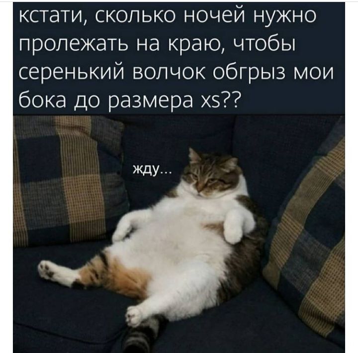 кстати сколько ночей нужно пролежать на краю чтобы серенький волчок обгрыз мои бока до размера х5