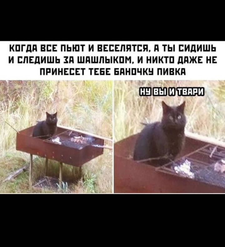 КПГдд ВСЕ ПЫПТ И ВЕЕЕПЯТЕЯ А ТЫ ЕИДИШЬ И ЕПЕДИШЬ ЗП ШПШПЫКПМ И НИКТП дПЖЕ НЕ ПРИНЕЕЕТ ТЕБЕ ЕПНПЧКН ПИВКП ПШЕЕПШ