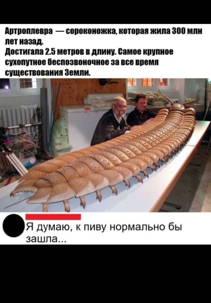 ЩППОШЮВПЁ БВПОИМШЖИВ МПП ШШШ 300 или П назад достипла 25 МОИМ длину еамов ШШШ ВПВЩПШО песцов пианино 38 М ММП ВУЩЦСПВВШИП ЗОМ Я думаю к пиву нормально бы зашла