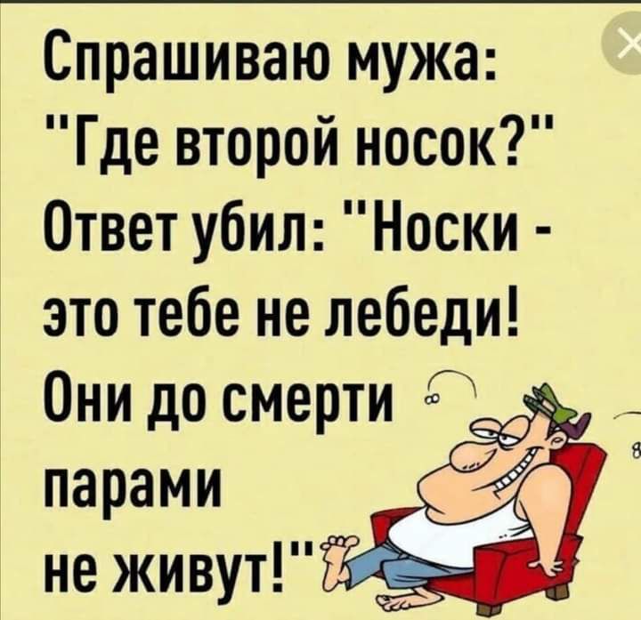 Спрашиваю мужа Где второй носок Ответ убил Носки это тебе не лебеди Они до смерти 5 парами не живут д _