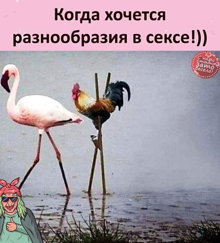 Когда хочется разнообразия в сексе