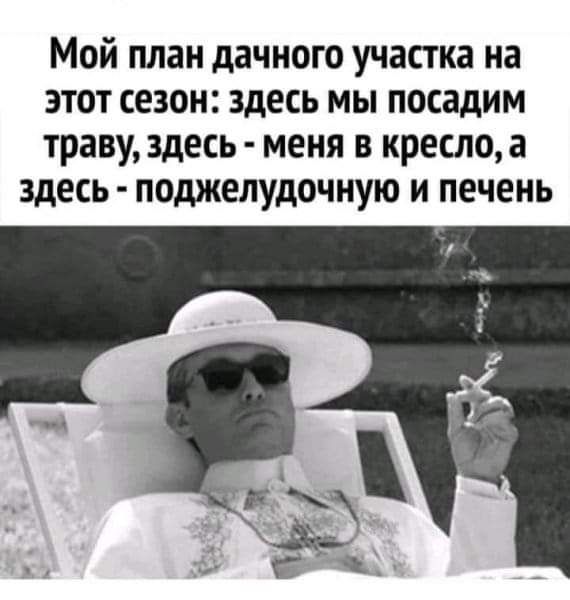 Мой план дачного участка на этот сезон здесь мы посадим траву здесь меня в кресло а здесь поджелудочную и печень