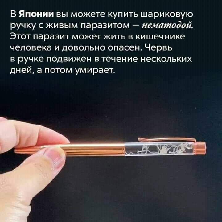 В Японии вы можете купить шариковую ручку с живым паразитом нематодой Этот паразит может жить в кишечнике человека и довольно опасен Червь в ручке подвижен в течение нескольких дней а потом умирает