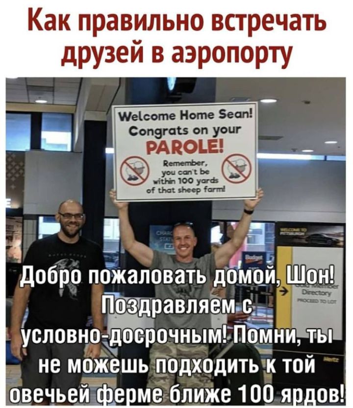 Как правильно встречать друзей в аэропорту Шеісоте Ноте ест соду ав он уж РАПОЪЕ ЁЗЁЬСЁЭ мамы Поздравляем сё условно ддпоёочным Помни ты не можешь подходить к той овечьей пе ме ближе 100 я _ов