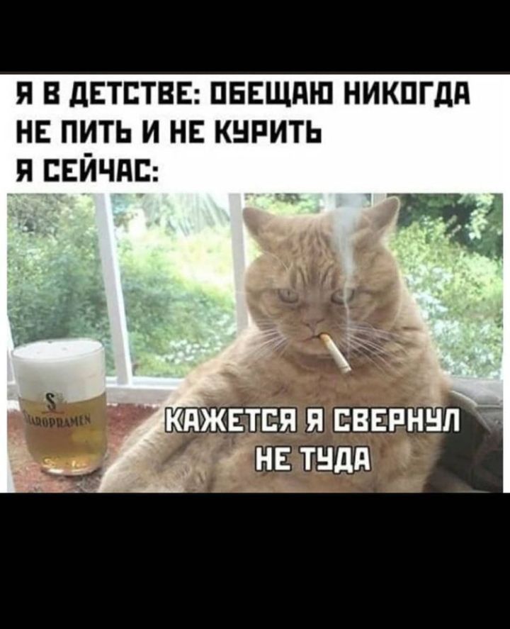 я в детствв пввщдш никпгдд нь пить и не кнрить свйчдс