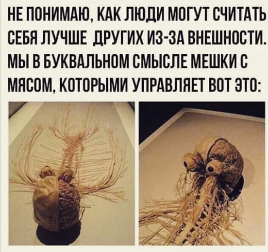 НЕ ППНИМАЮ КАК ЛЮДИ МОГУТ СЧИТАТЬ СЕБЯ ЛУЧШЕ ДРУГИХ ИЗ ЗА ВНЕШНПСТИ МЫ В БУКВАЛЬНОМ СМЫСЛЕ МЕШКИ В МЯВПМ КОТОРЫМИ УПРАВЛЯЕТ ВОТ ЭТО