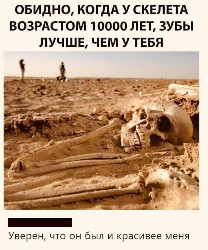 ОБИДНО КОГДА У СКЕЛЕТА ВОЗРАСТОМ 10000 ЛЕТ ЗУБЫ ЛУЧШЕ ЧЕМ У ТЕБЯ Уверен ЧТО ОН был И красивее МЕНЯ