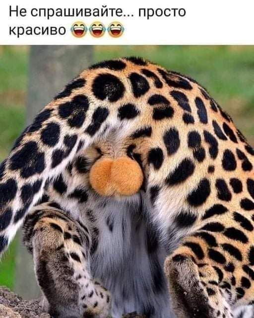 Не спрашивайте просто красиво