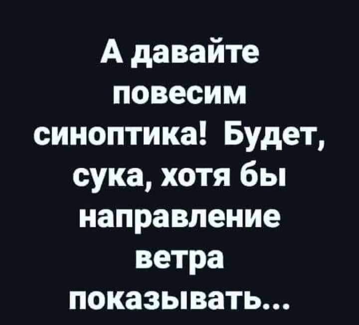 А давайте повесим синоптика Будет сука хотя бы направление ветра показывать