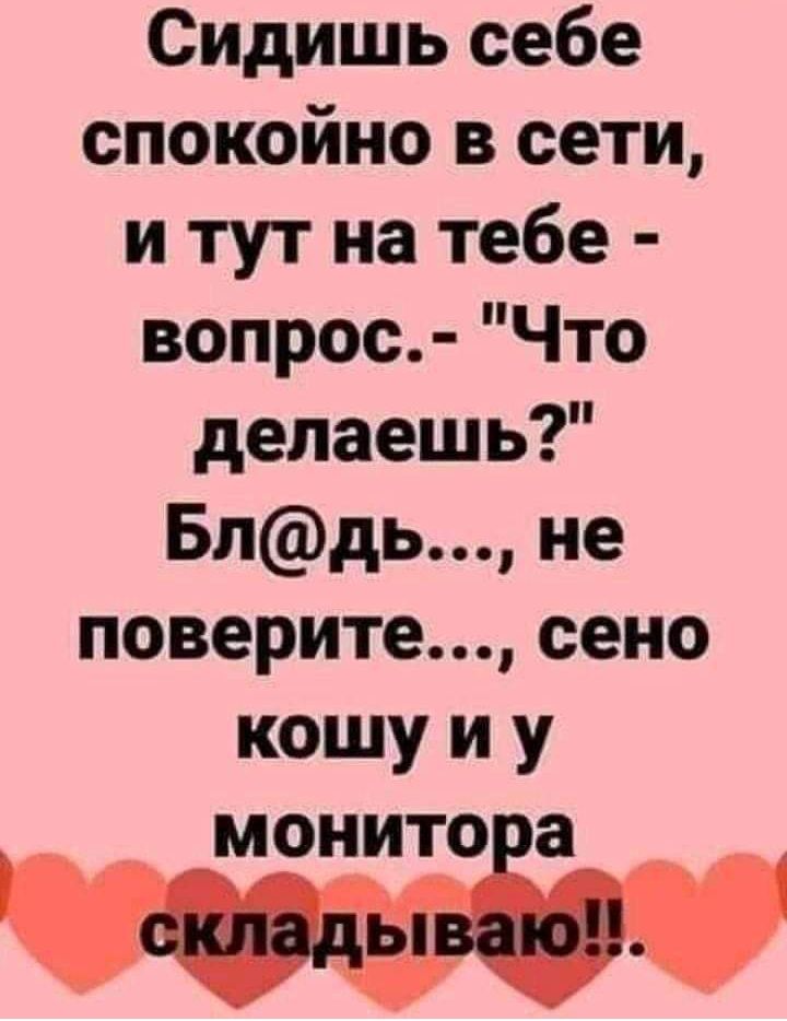 Сидишь себе спокойно в сети и тут на тебе вопрос Что делаешь Блдь не поверите сено кошу и у МОНИТОіа