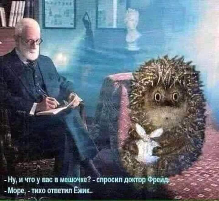 Ну и чтоу вас в мешочке спросил докгор Море _тихо ответил Ёжик