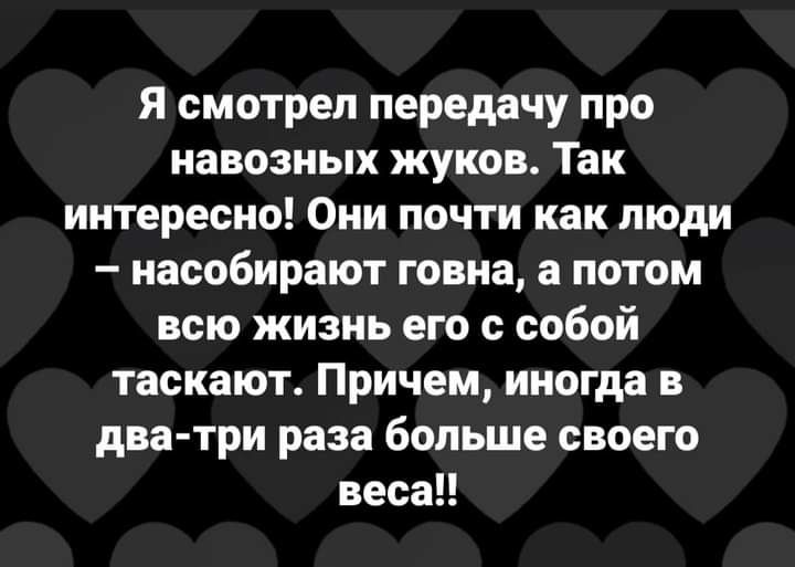 Я смотрел передачу про навозных жуков Так интересно Они почти как люди насобирают говна а потом всю жизнь его с собой таскают Причем иногда в два три раза больше своего весап