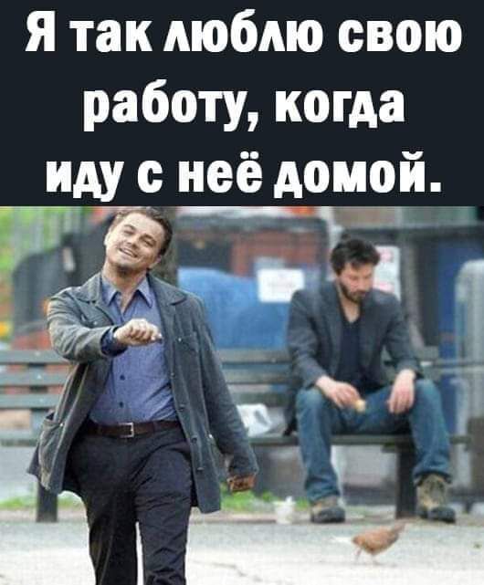 я так люблю свою работу когда иду неё домой