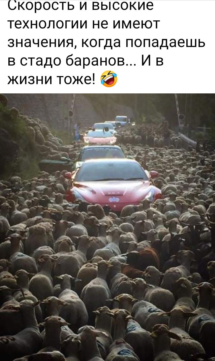 Скорость и высокие технологии не имеют значения когда попадаешь в стадо баранов И в жизни тоже