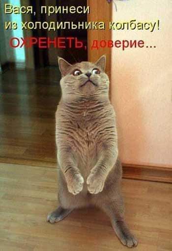 Я ПрИНЕСИ