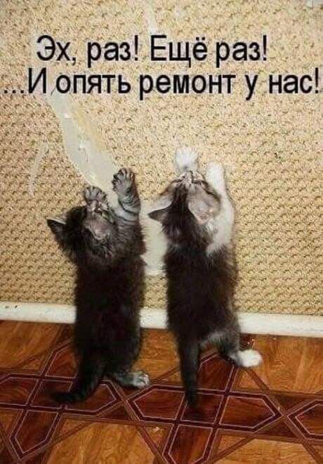 Эх раз Ещё раз Иопять ремонт у нас