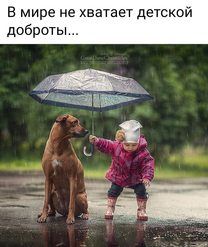 В мире не хватает дет доброты