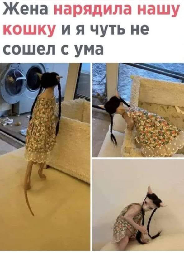 Жена И Я ЧУТЬ не СОШЭЛ С ума