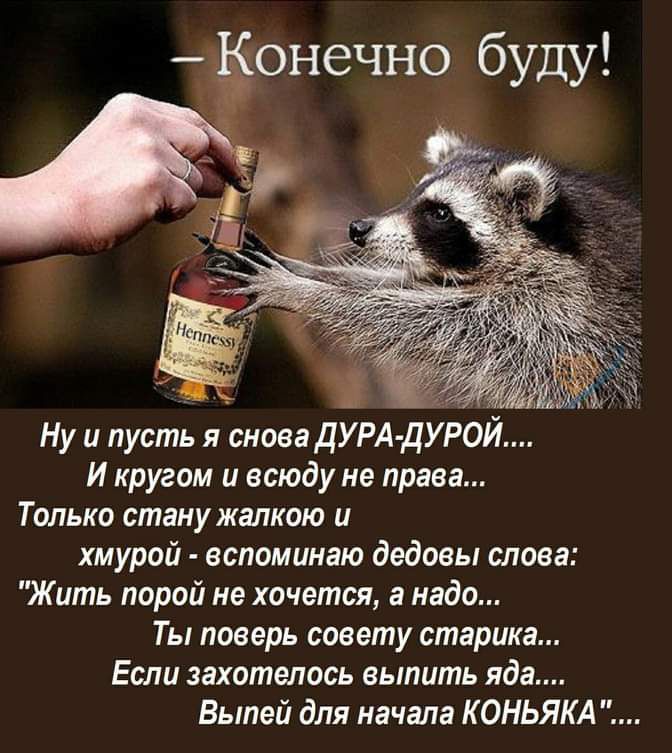 1 Ну и пусть я снова ДУРА дУРОЙ И кругом и всюду не права Только стану жапкою и хмурой вспоминаю дедоеы слова Жить порой не хочется а надо Ты поверь совету старика Если захотелось выпить яда Выпей для начала К ОНЬЯКА