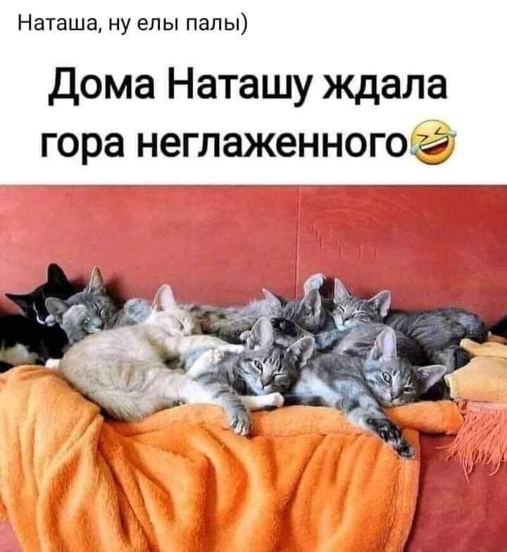 Наташа ну елы папы Дома Наташу ждала гора неглаженногогё