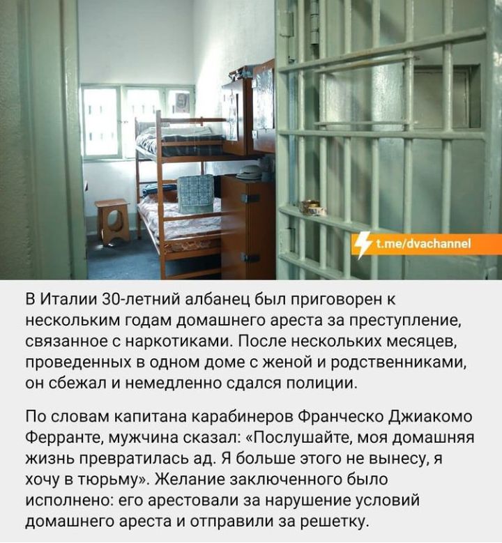 В Италии 30 летний албанец был приговорен к нескольким годам домашнего ареста за преступление связанное с наркотиками После нескольких месяцев проведенных в одном доме с женой и родственниками он сбежал и немедленно сдался полиции По словам капитана карабинеров Франческо Джиакомо Ферранте мужчина сказал Послушайте моя домашняя жизнь превратилась ад Я больше этого не вынесу я хочу в тюрьму Желание 