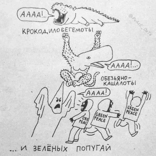 АААПЕ 75 КРОКОАИАОБЕ ГЕМОТЫ _ ОБЕЗЬЯНО КАШААОТЫ И ЗЕЛЁНЫХ ПОПУГАЙ