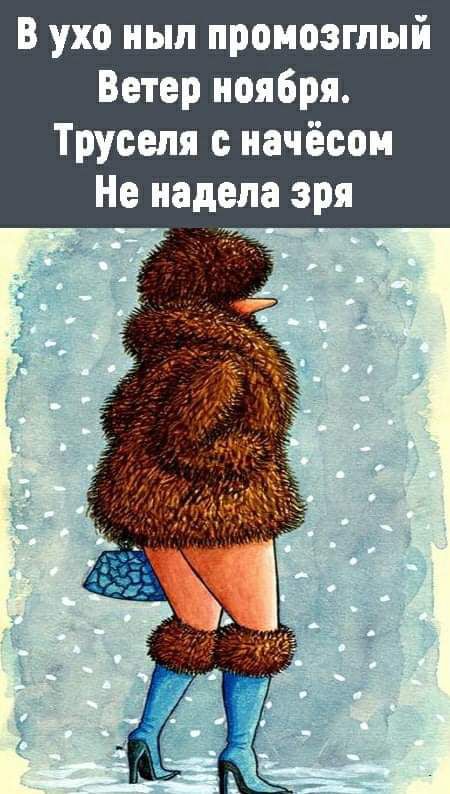 В ухо нып промозгпый Ветер ноября Трусепя начёсои Не надела зря