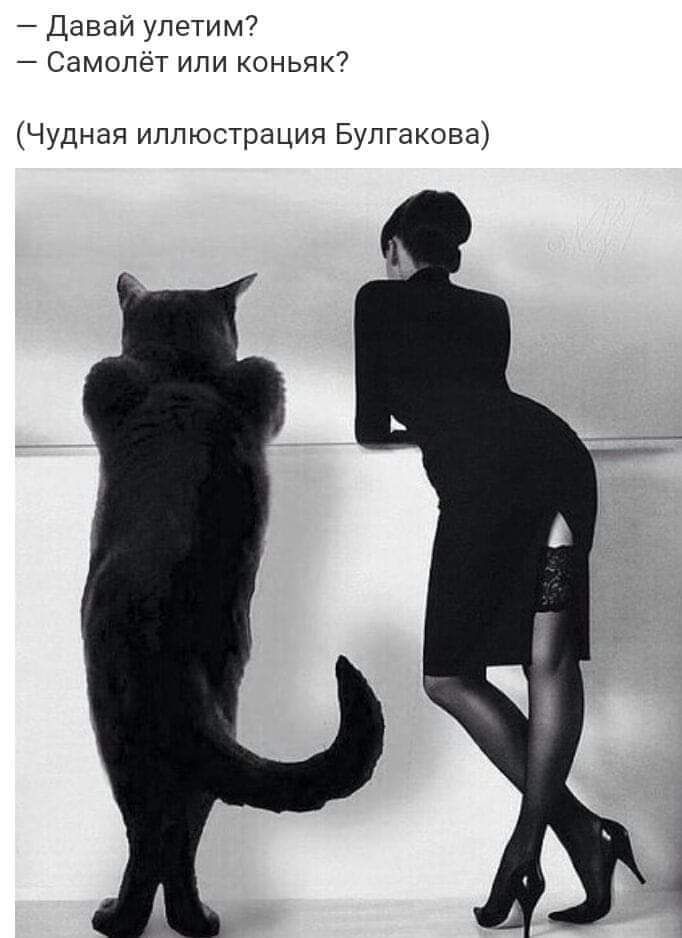 Давай улетим Самолёт или коньяк Чудная иллюстрация Булгакова