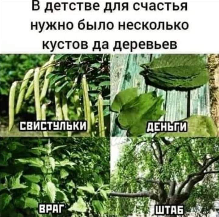 детстве ДЛЯ СЧЗСТЬЯ НУЖНО бЫЛО НЕСКОЛЬКО КУСТОВ да деревьев Пп 7514 чвргітнпькиъ деньги _ 3 ч Ё