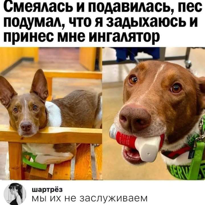 СМЕЯАЗСЬ И подавидась ПЭС ПОАУМЗА ЧТО Я задыхаюсь И принес мне ингаштор шартрёз мы их не заспуживаем