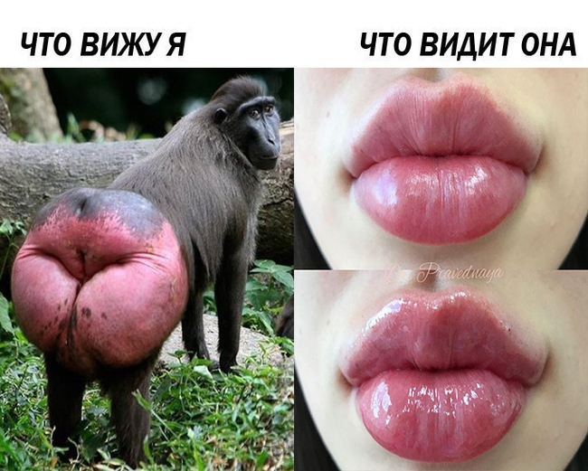 ЧТО ВИЖУ Я ЧТО ВИДИТ ОНА