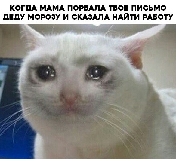 КОГДА МАМА ПОРВАЛА ТВОЕ ПИСЬМО дЕдУ МОРОЗУ И ОКАЗАПА НАЙТИ РАБОТУ