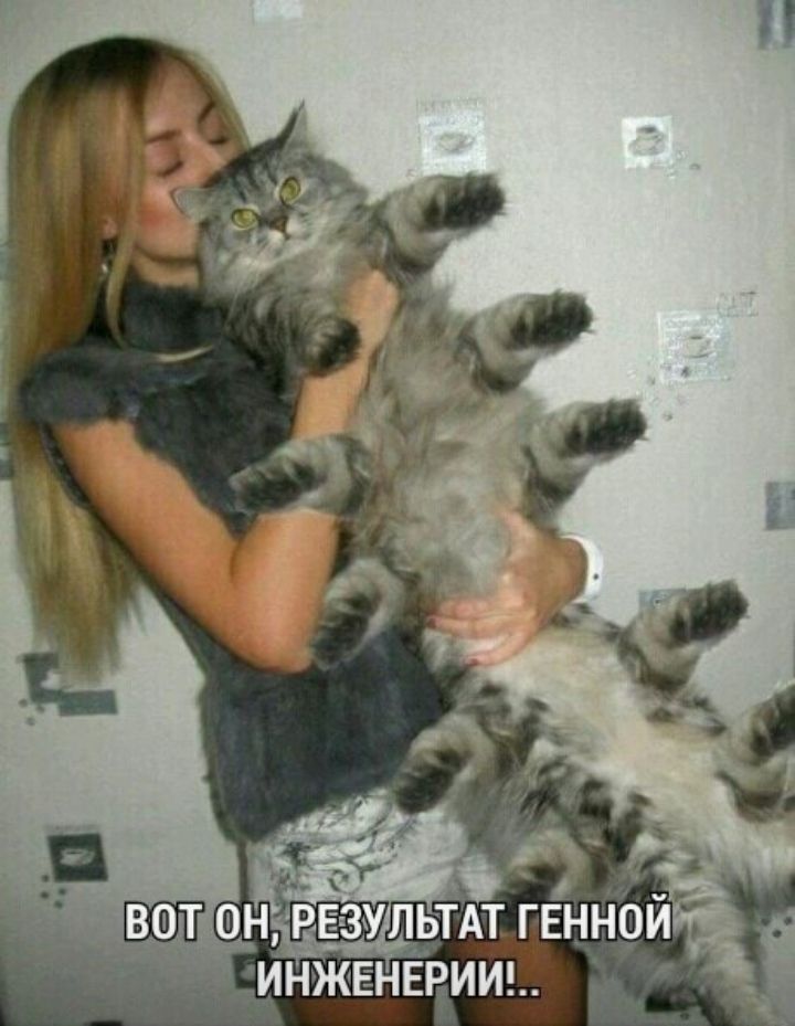 _дрдсдёдрезультдт гЕнной инжвдврииь