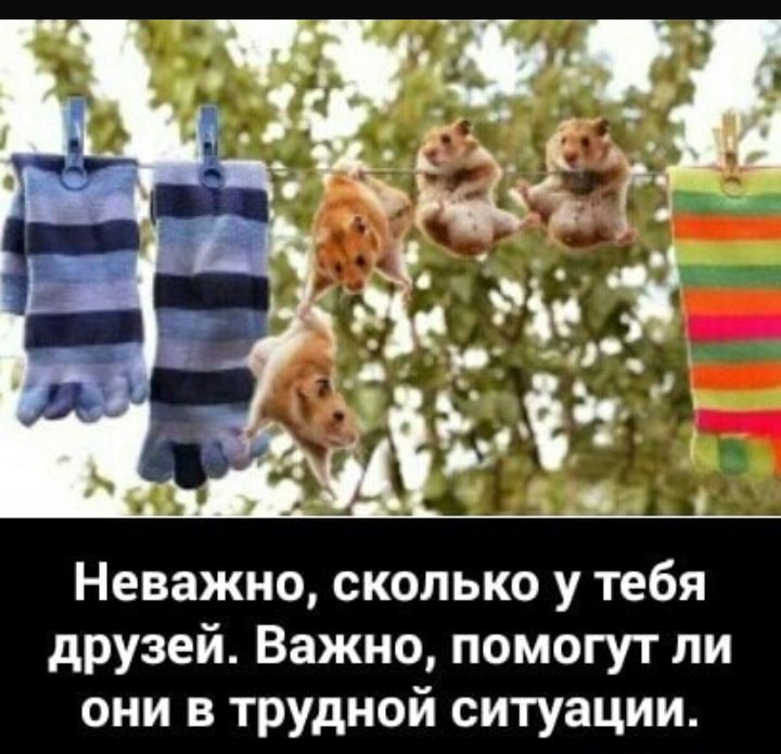 Неважно сколько у тебя друзей Важно помогут ли они в трудной ситуации