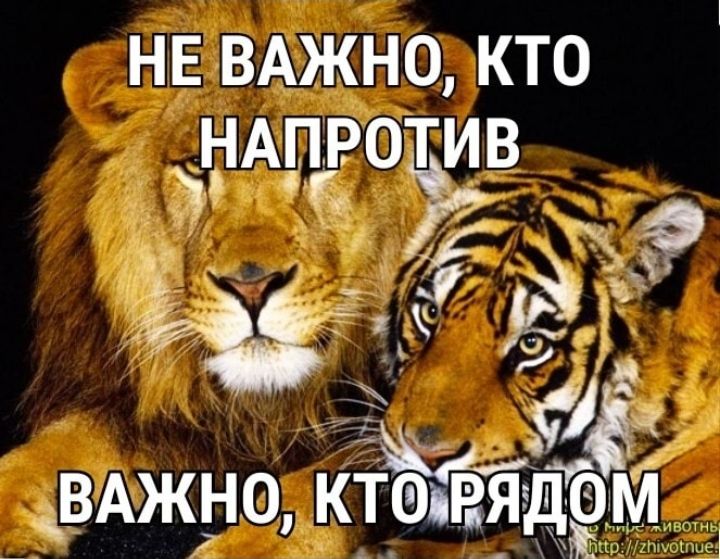 НЕ ВАЖНО КТО