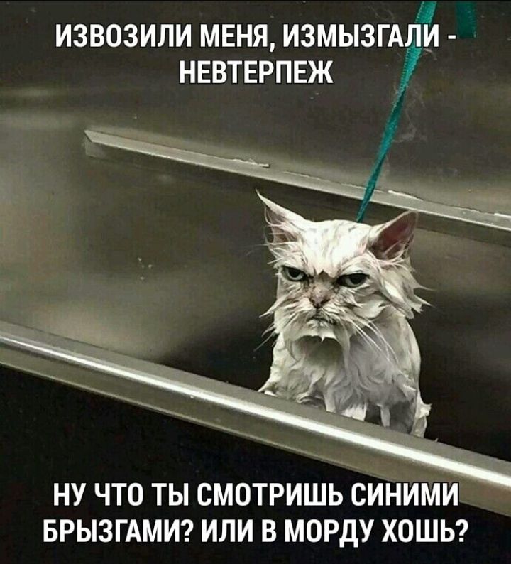 і ИЗВОЗИЛИ МЕНЯ ИЗМЫЗГАДИ НЕВТЕРПЕЖ НУ ЧТО ТЫ СМОТРИШЬ СИНИМИ БРЫЗГАМИ ИЛИ В МОРДУ ХОШЬ