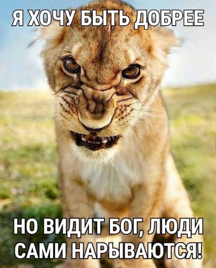 ЁщТБРЁЕ